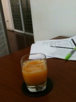 /album/bildgalleri/bild-022-jpg/